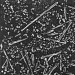 calcite before magnetic field